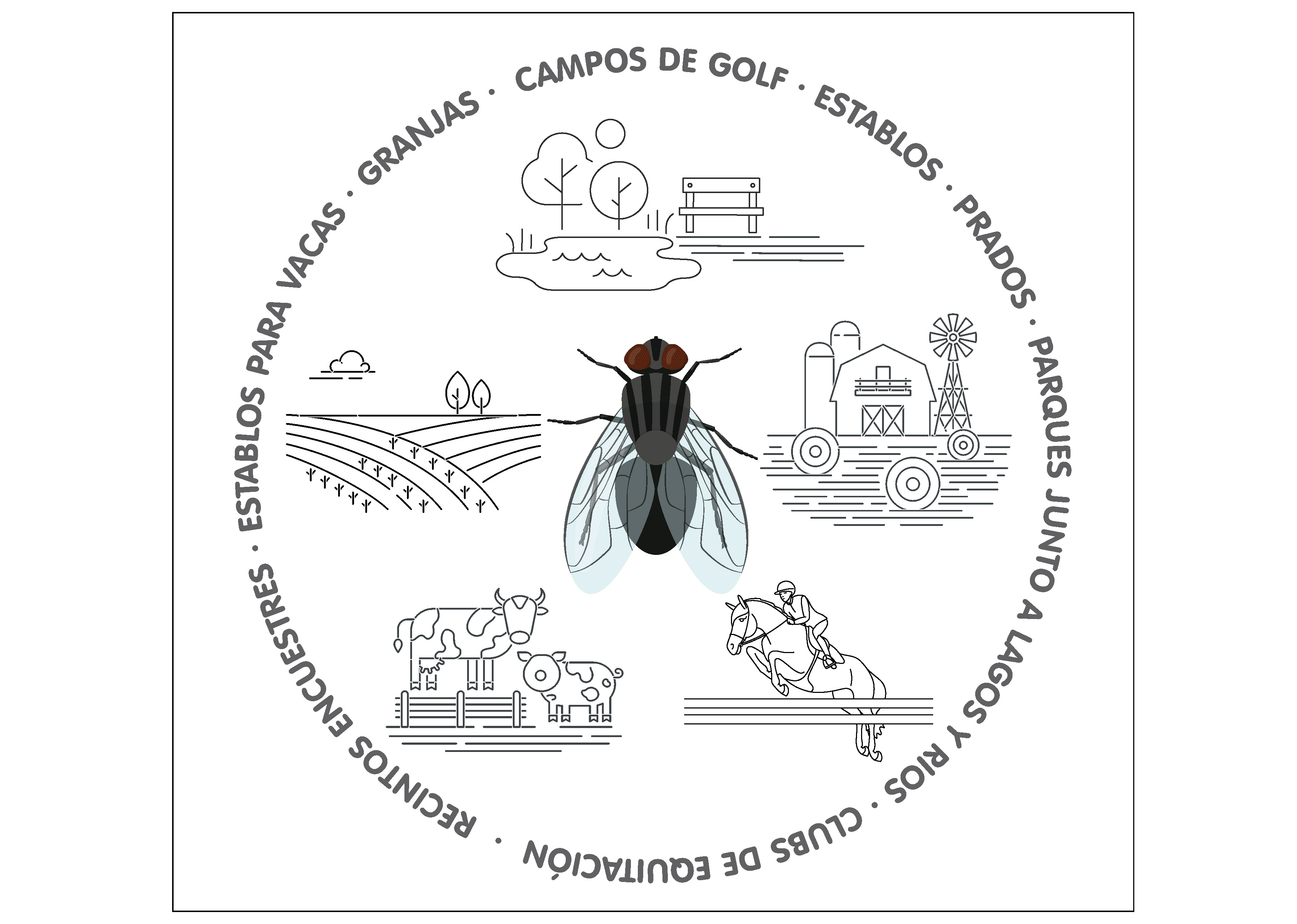 Infografía tábanos